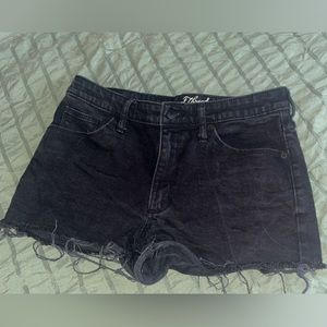 High Rise Shorts
